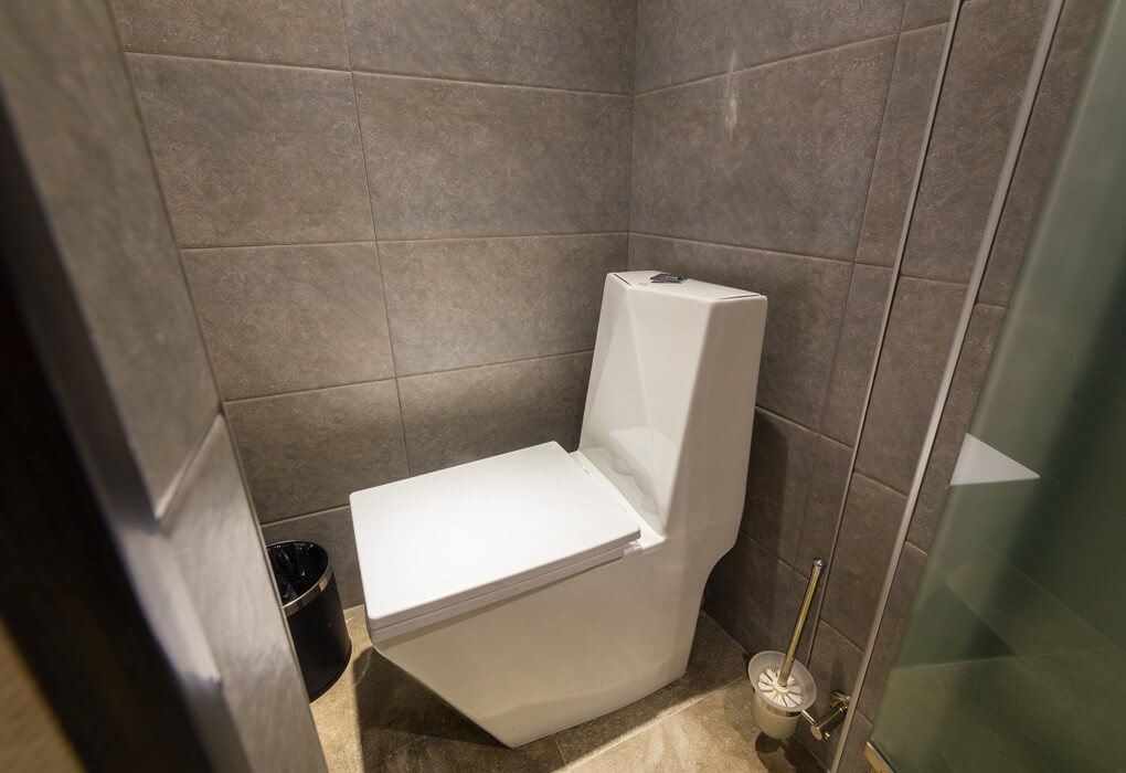 Туалет в Номере Гранд Афон, Абхазия, г. Новый Афон