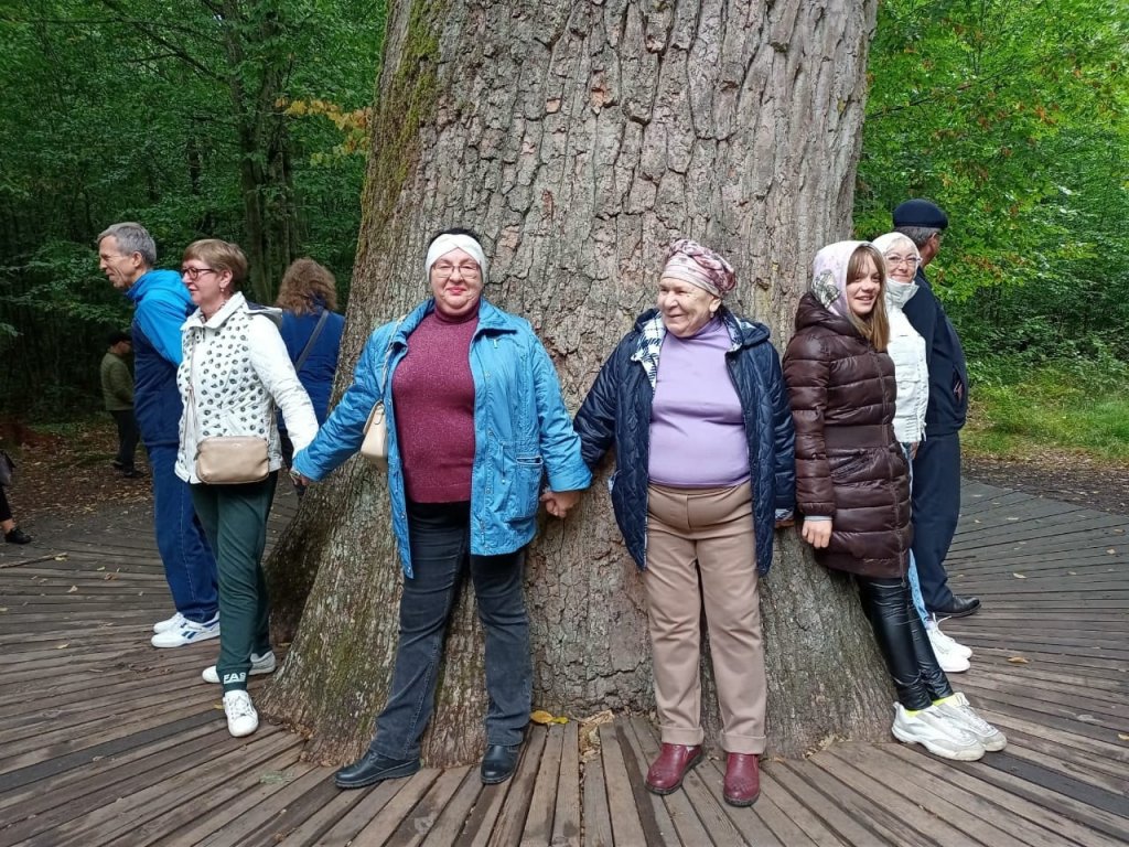 Самое толстое дерево Беларуси