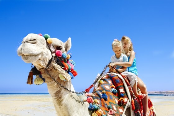 Отдых в Египте с детьми на каникулах 